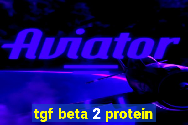 tgf beta 2 protein