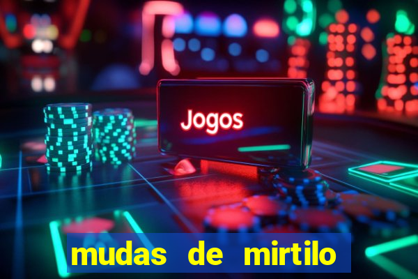 mudas de mirtilo em porto alegre