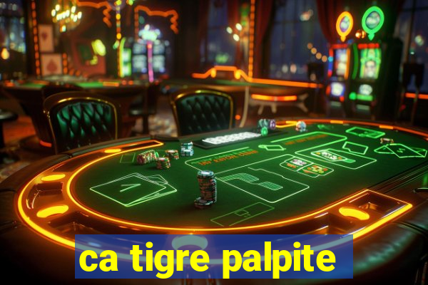 ca tigre palpite