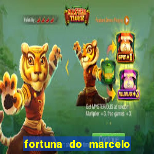 fortuna do marcelo do fluminense