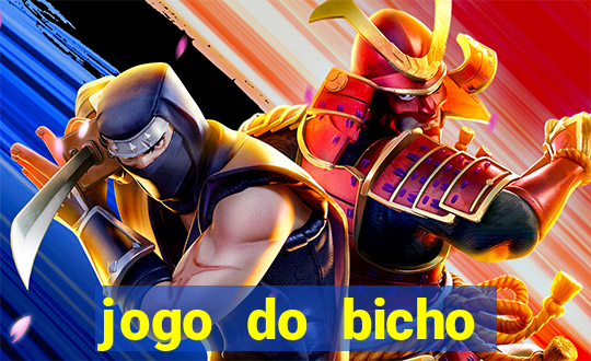 jogo do bicho crash bingo