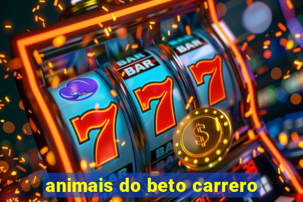 animais do beto carrero