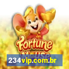 234vip.com.br