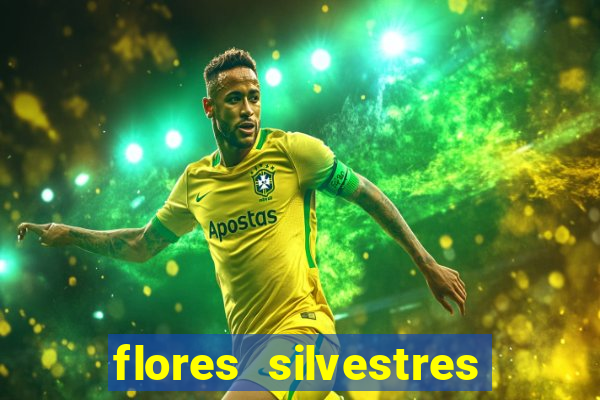 flores silvestres desbravadores desbravadores 25