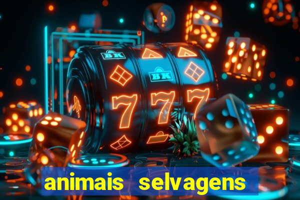 animais selvagens fotos e nomes