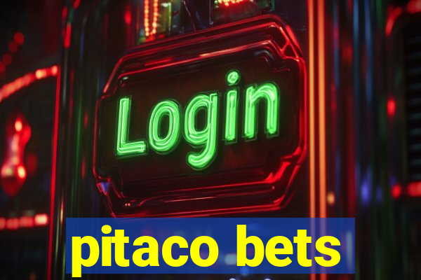 pitaco bets