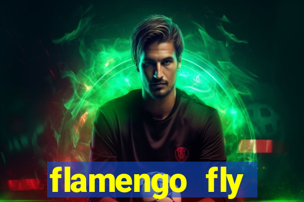 flamengo fly emirates ultimas noticias