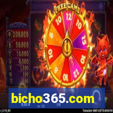 bicho365.com