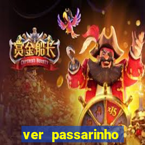 ver passarinho morto significado espiritual